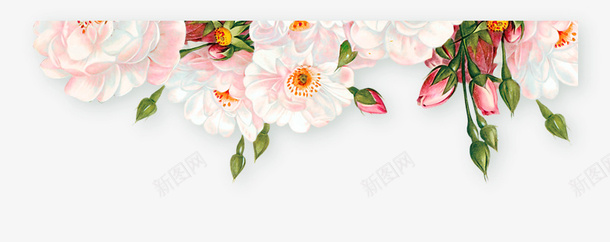 手绘清新花草标题装饰边框png免抠素材_88icon https://88icon.com 手绘 清新 花草 标题 装饰 边框