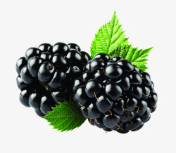 扁平化树莓水果进口桑葚免扣素材高清图片