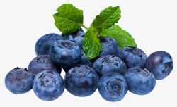 蓝莓水果葡萄提子素材