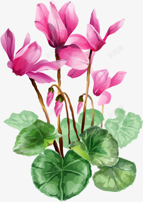 手绘高清鲜花插画png免抠素材_88icon https://88icon.com 手绘 绿植 植物 红花 绿叶