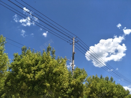 那年那天盛夏背景