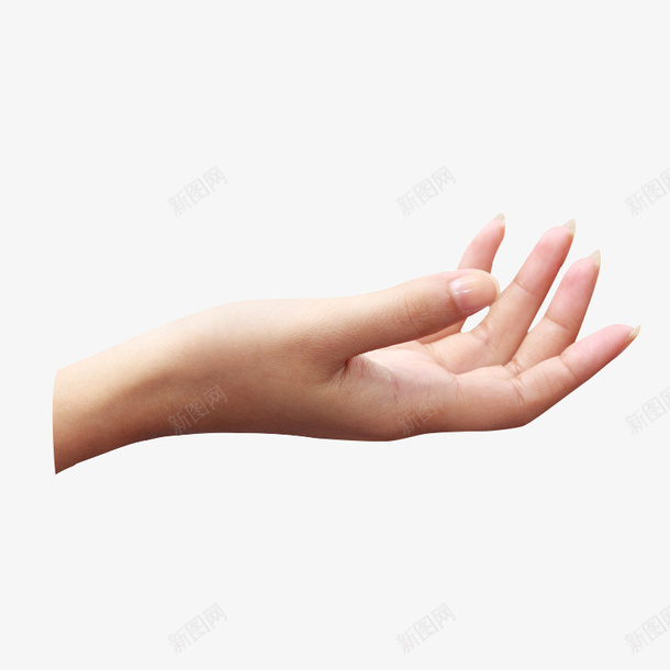 女人手手握东西png免抠素材_88icon https://88icon.com 手 女人手 握东西 白人