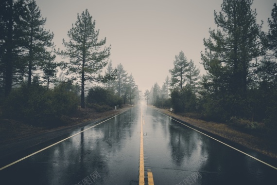 雨后的森林公路背景