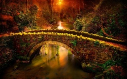 日落美景森林里的拱桥高清图片
