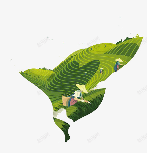 采茶女孩在采茶png免抠素材_88icon https://88icon.com 绿茶 茶 茶叶 茶叶制作 采茶