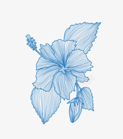 浅蓝色手绘花朵素材