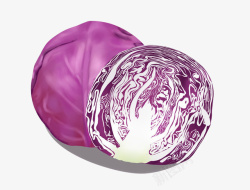 蔬菜类紫甘蓝素材