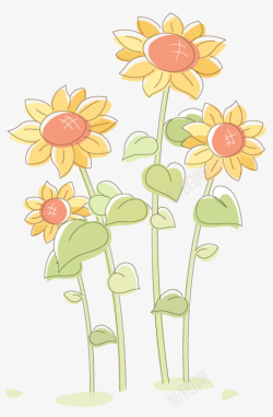 可爱的向日葵手绘卡通想着太阳的向日葵高清图片