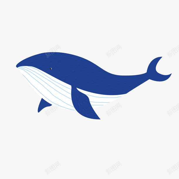 动物鲸鱼手绘png免抠素材_88icon https://88icon.com 动物 海洋生物 鲸鱼 手绘