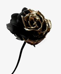 黑色金属背景黑色金属质感玫瑰高清图片