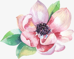 手绘中国风精美粉色玉兰花素材