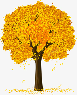 樟树手绘高清秋天的香樟树高清图片