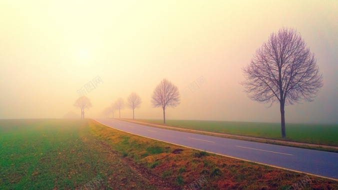 有雾的田野中路的照片背景