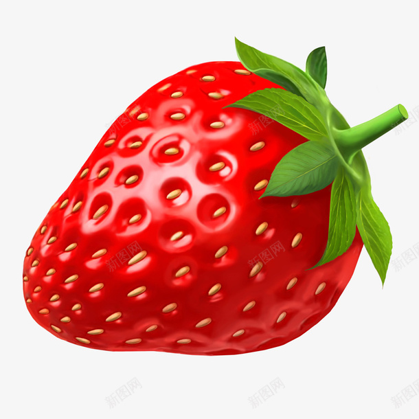 草莓植物食物装饰png免抠素材_88icon https://88icon.com 草莓 植物 食物 装饰