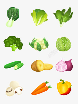 瓜果蔬菜洋葱黄瓜白菜素材