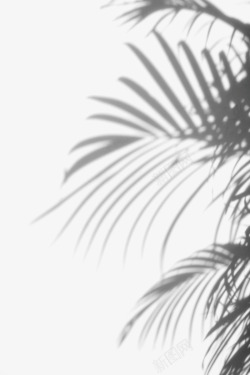 308527623光晕素材