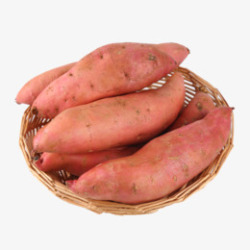 番薯红薯地瓜素材