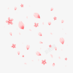 樱花花瓣电商海报素材