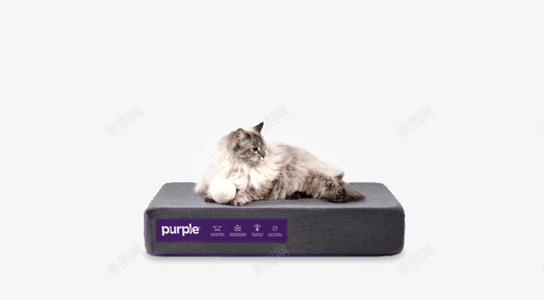 Pet Bed Small床垫png免抠素材_88icon https://88icon.com 床垫