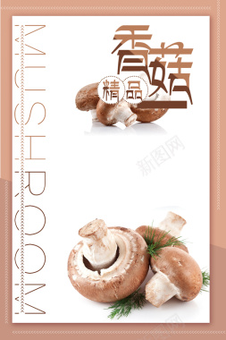 时尚创意精品香菇海报背景素材背景
