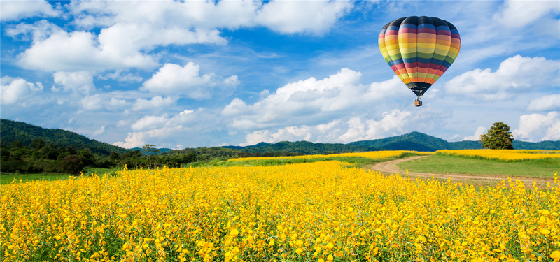 黄色花海升空气球海报背景