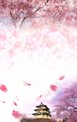 樱花季旅游素材樱花季旅游海报背景素材高清图片