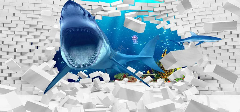 鲨鱼背景图背景