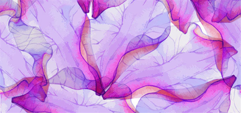 紫色花瓣背景背景