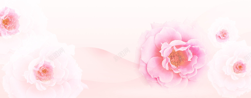 浪漫粉色花朵背景背景