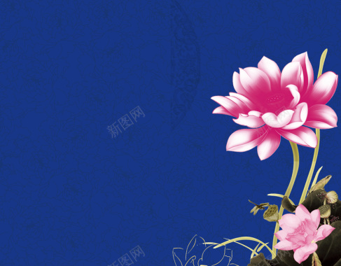 中国风停在莲花上的蜻蜓蓝色背景素材背景
