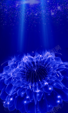 蓝色水晶花朵背景素材背景