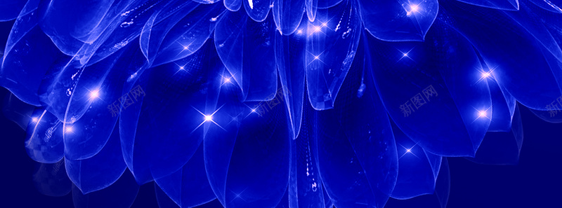 蓝色水晶花朵背景素材psd设计背景_88icon https://88icon.com 水晶花朵 光线 深蓝 花朵 蓝色 蓝色花朵 花朵背景 蓝色背景 蓝色素材