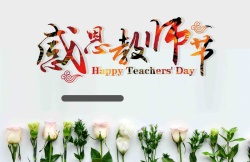 花店展板创意小清新简洁感恩教师节康乃馨高清图片