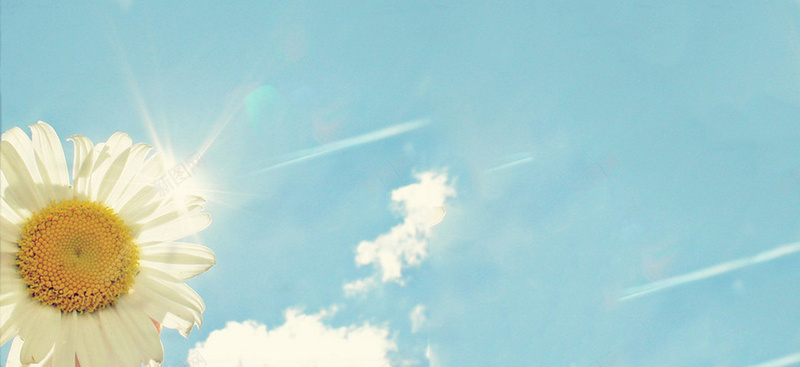 清新向日葵背景jpg设计背景_88icon https://88icon.com 清新 文艺 向日葵 阳光 逆光 太阳花 海报banner 小清新 简约