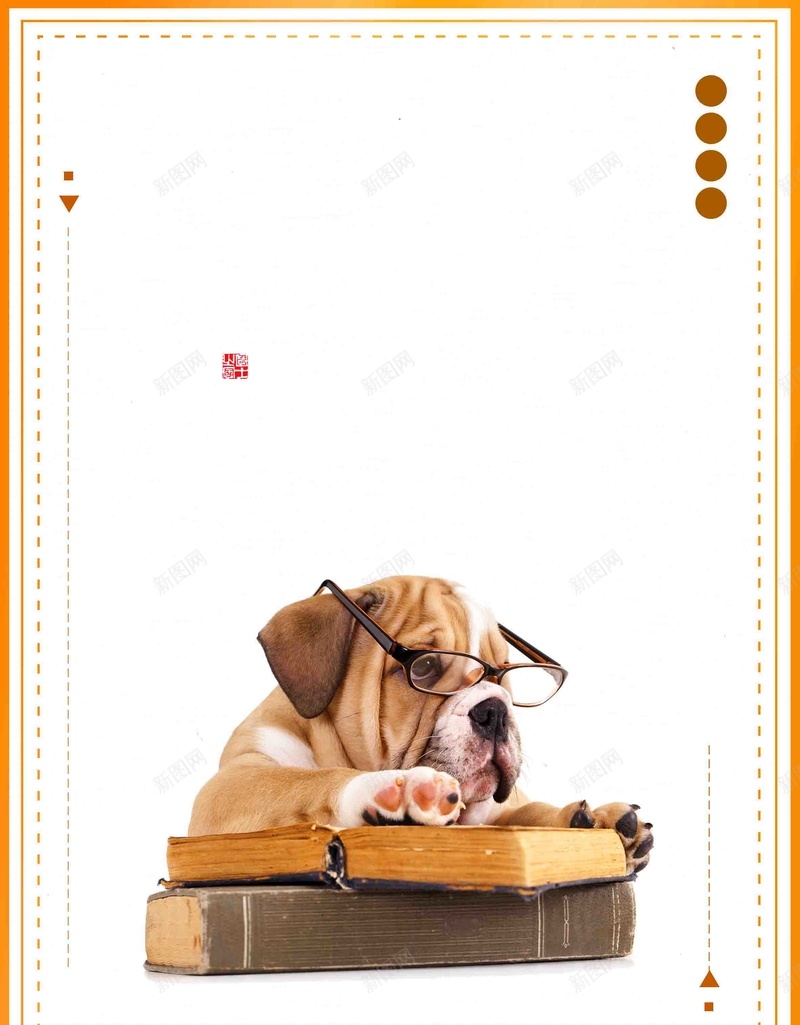 小清新宠物之家宣传psd设计背景_88icon https://88icon.com 字体设计 宠物 宠物医院 宠物店 宠物店铺开张 宠物用品 徽派多图排版 排版 文艺小清新风格 杂志内页设计 杂志封面 简约高档