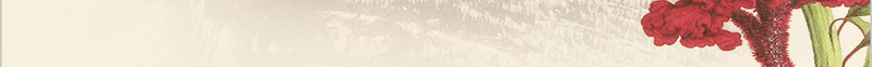 中国风企业文化展板背景素材jpg设计背景_88icon https://88icon.com 中国风 中国风企业文化展板 企业文化 办公室展板 山水画 工笔画 简笔山水画 背景墙 装饰画 装饰画图片下载