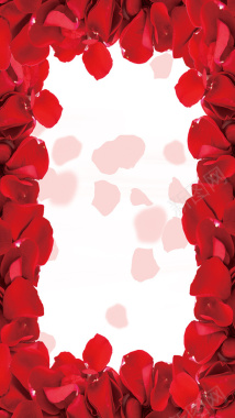 红色玫瑰花瓣手机端H5背景素材背景