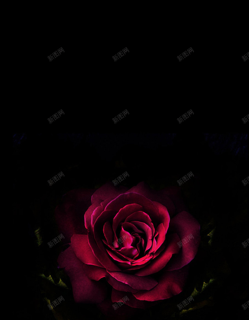 红色花卉H5背景jpg设计背景_88icon https://88icon.com 情人节 婚庆 浪漫 红色 花卉 H5背景 H5 h5 梦幻