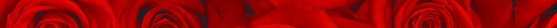 红色玫瑰花情人节海报psd设计背景_88icon https://88icon.com 情人节海报 玫瑰底纹 玫瑰花 信纸 红色 浪漫 爱情 花朵
