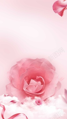 唯美大气玫瑰护肤品H5背景素材背景