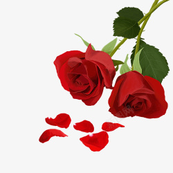 一支红玫瑰玫瑰花红色高清图片