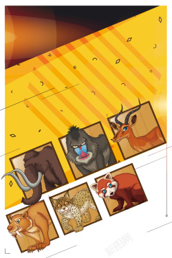 动物园展板黄色创意插画保护野生动物背景高清图片