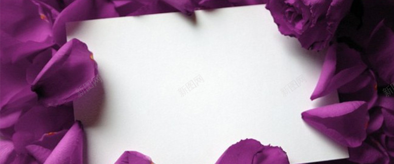 紫色花瓣纹理质感图背景