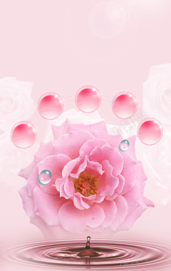 粉色立体花瓣背景背景