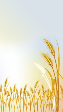金色生长的麦子H5背景背景