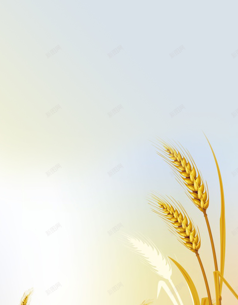 金色生长的麦子H5背景jpg设计背景_88icon https://88icon.com 蓝色天空 丰收 喜悦 成熟 金色 生长的麦子 粮食 H5背景