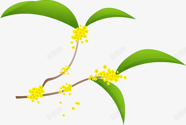 一支美丽的桂花cdr免抠素材_88icon https://88icon.com 手绘桂花 中秋 桂花 插桂花画 手绘中秋 手绘桂花插画