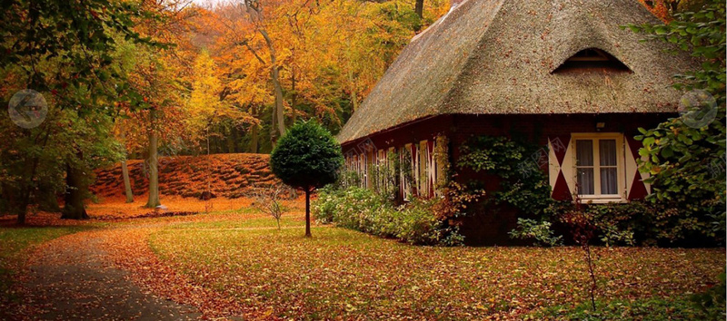 唯美秋季枫叶小屋背景背景