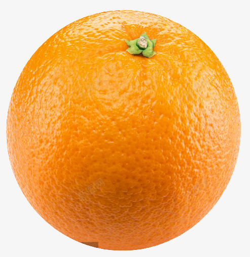 橙子一个水果png免抠素材_88icon https://88icon.com 橙 子 水 果