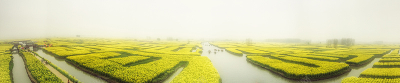 油菜花田背景素材下载jpg设计背景_88icon https://88icon.com 花海 花卉 黄花 黄色 金色 蓝天 油菜花背景图片 油菜花背景 油菜花 花朵 油菜花海 黄色花海 花草 植物